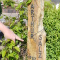 Abitreffen-2012-06-02-037