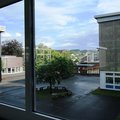 IMG_0534
